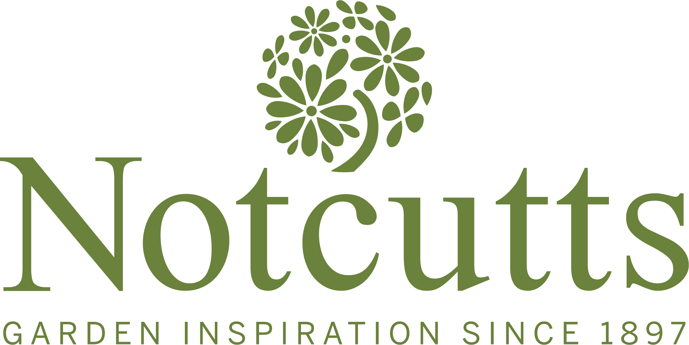 notcutts notcutts